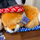Plush Toys Stuffed Big 3