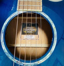 Yamaha Acoustic Guitars Cpx1000