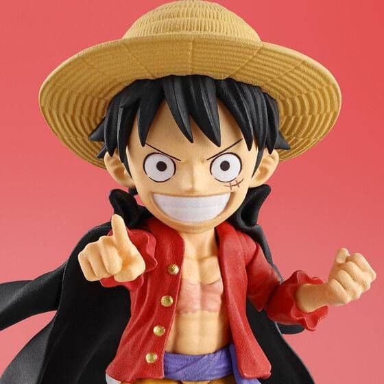 One Piece S.H.Figuarts D