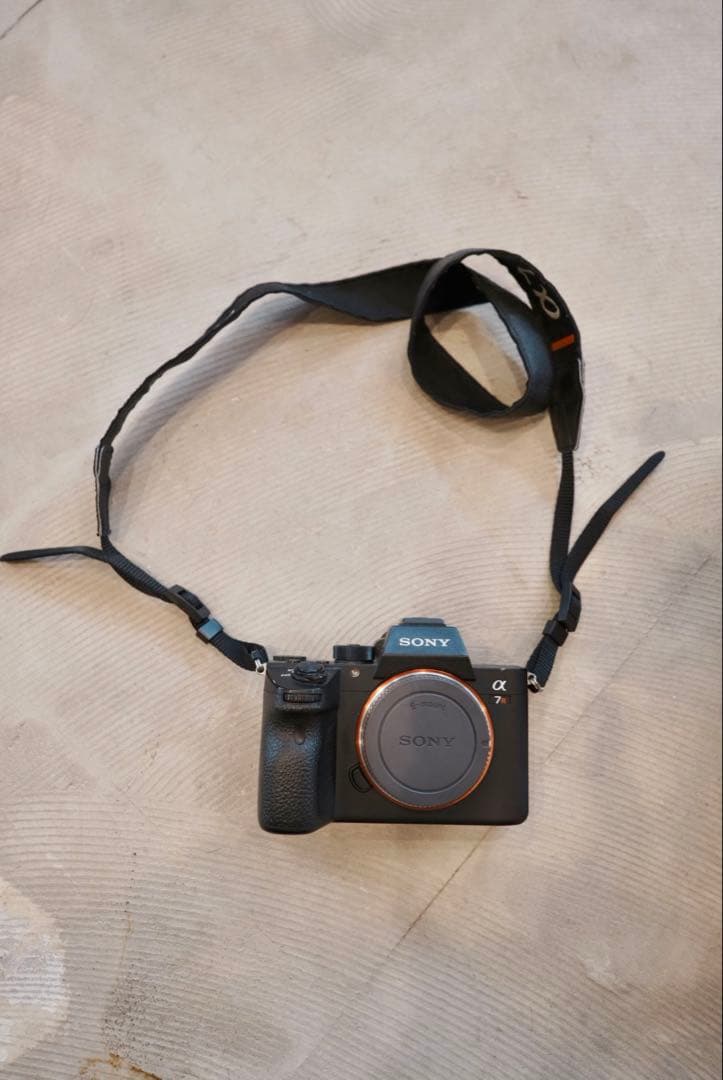 Sony Mirrorless Interchangeable Lens Cameras 7R3