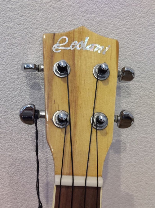 Ukuleles 2 No.60A