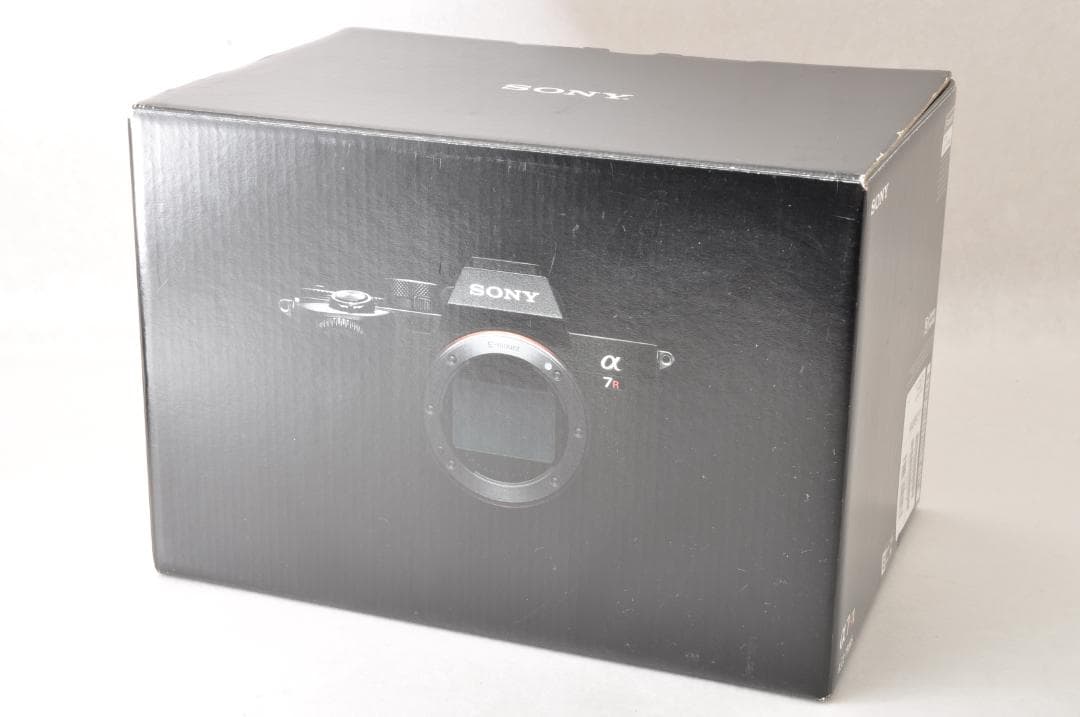 Sony Mirrorless Interchangeable Lens Cameras 7R V 400 4777