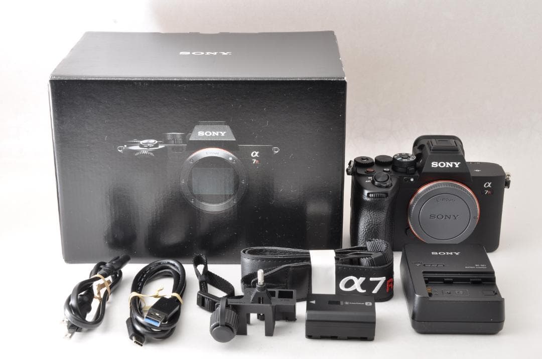 Sony Mirrorless Interchangeable Lens Cameras 7R V 400 4777
