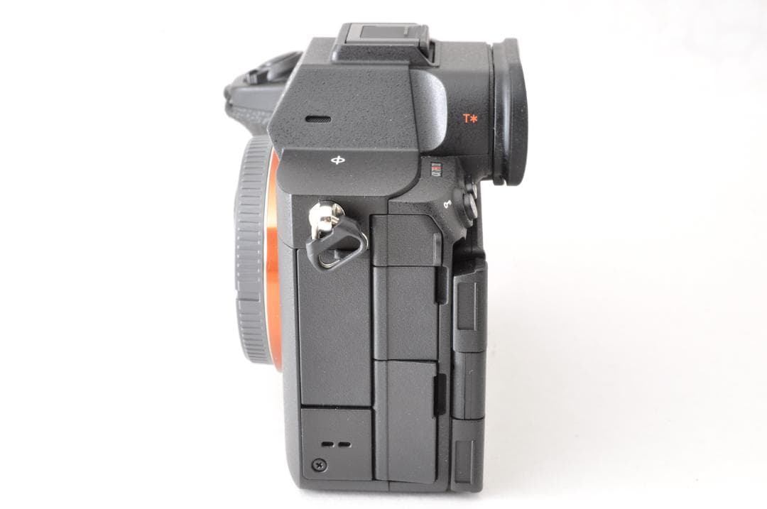 Sony Mirrorless Interchangeable Lens Cameras 7R V 400 4777