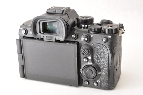Sony Mirrorless Interchangeable Lens Cameras 7R V 400 4777