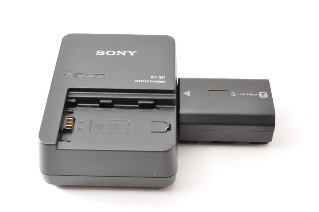 Sony Mirrorless Interchangeable Lens Cameras 7R V 400 4777