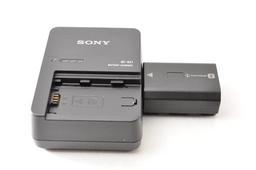 Sony Mirrorless Interchangeable Lens Cameras 7R V 400 4777