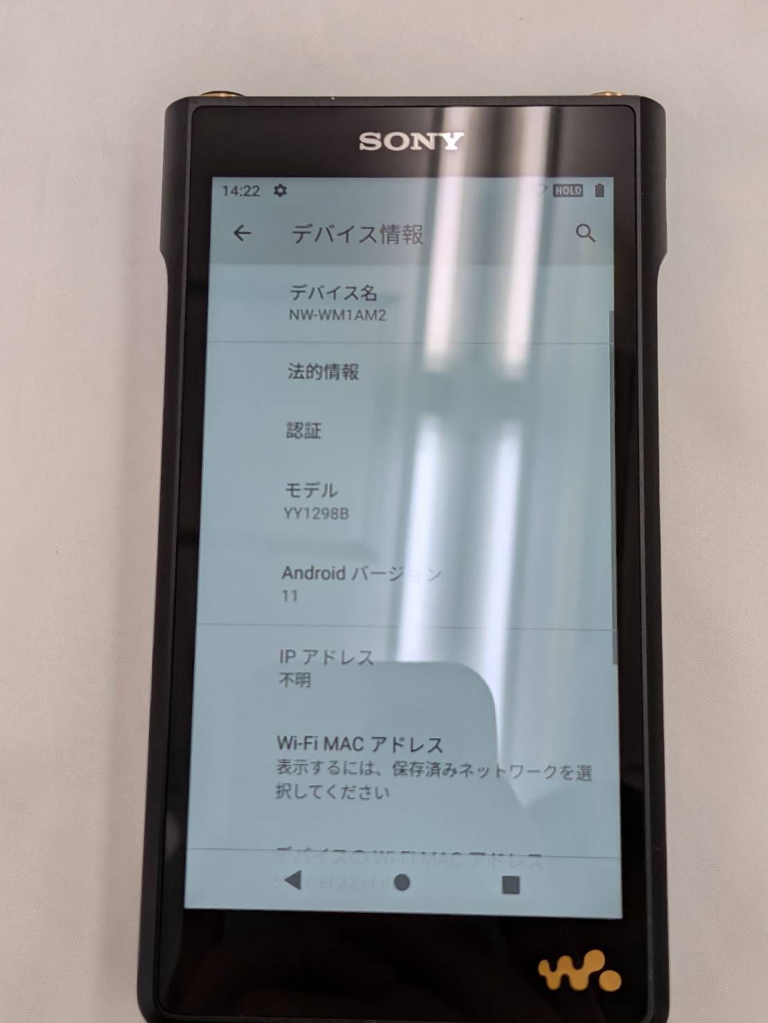 Sony Digital Audio Player N Nw-Wm1Am2 Walkman