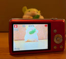 Panasonic Other Lumix Dmc Fh6