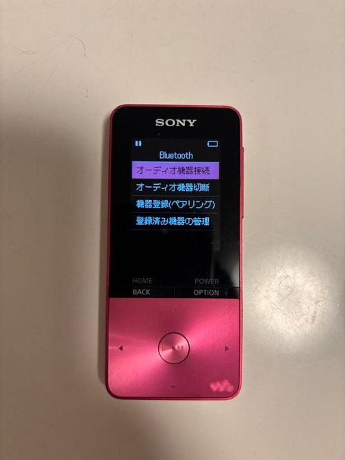 Sony Digital Audio Player