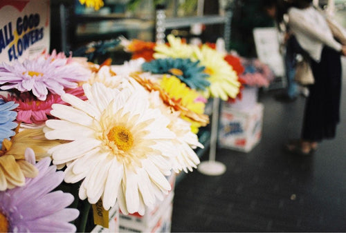 Nikon Slr Cameras (Film) Fe