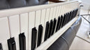 Roland Keyboards Digital Pianos A-49 Midi 49