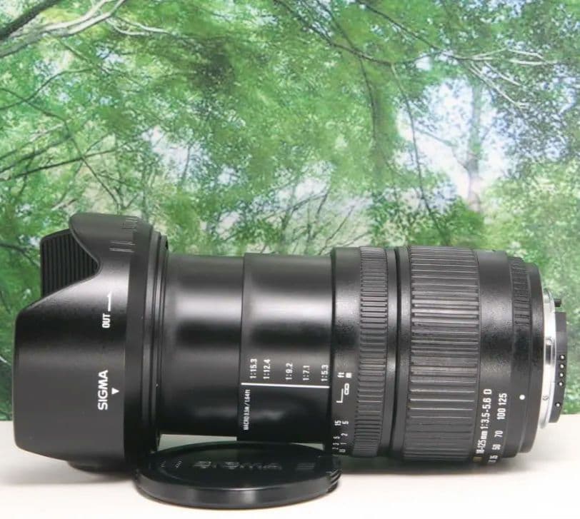 Sigma Lens (Zoom) 18-125Mm Nikon