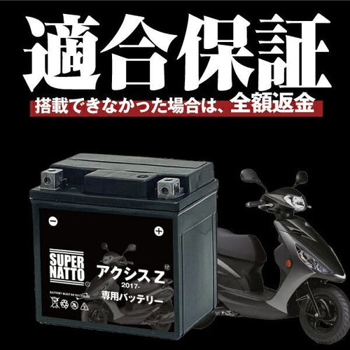 Others Z (2017 Yamaha 100
