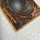 Yu -Gi -Oh! Ocg Duel Monsters (Foreign Language Version)
