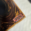 Yu -Gi -Oh! Ocg Duel Monsters (Foreign Language Version)