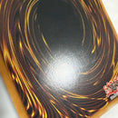 Yu -Gi -Oh! Ocg Duel Monsters (Foreign Language Version)