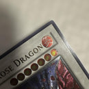 Yu -Gi -Oh! Ocg Duel Monsters (Foreign Language Version)