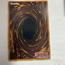 Yu -Gi -Oh! Ocg Duel Monsters (Foreign Language Version)