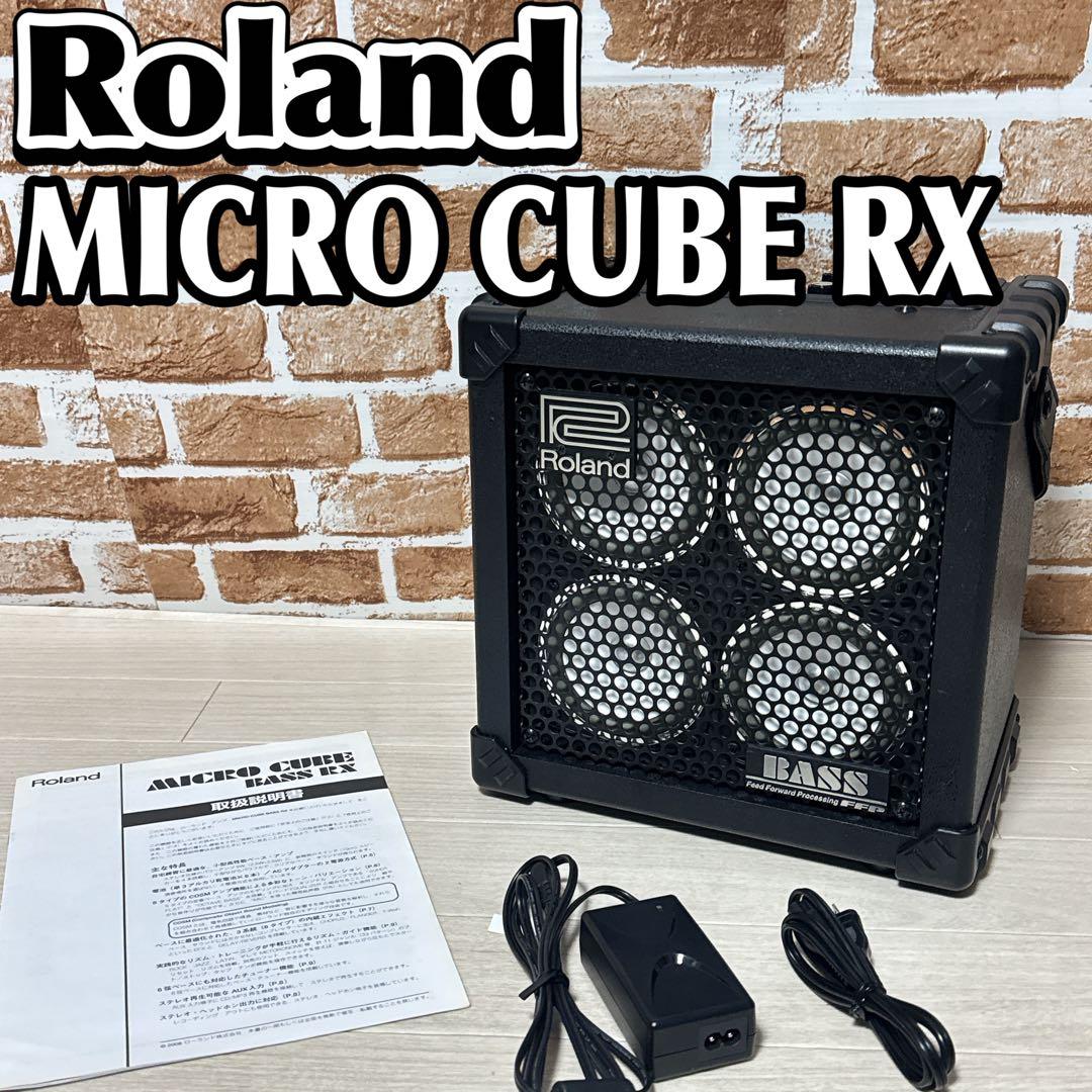 Roland Base Amplifier Micro Cube Rx