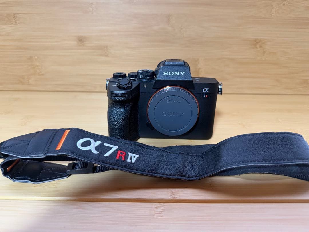 Sony Mirrorless Interchangeable Lips 7R Iv