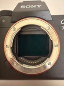 Sony Mirrorless Interchangeable Lips 7R Iv