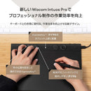 Wacom Pentablet Body (Plate Tab) Intuos Pro Small (2025) [W215 D163 H4 7Mm]