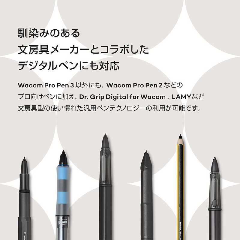 Wacom Pentablet Body (Plate Tab) Intuos Pro Small (2025) [W215 D163 H4 7Mm]