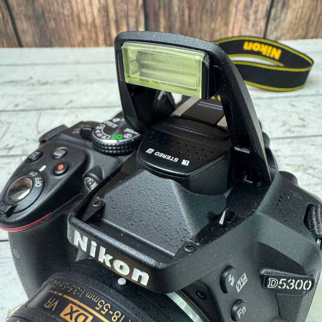 Nikon Digital Slrs D5300 18-55Mm