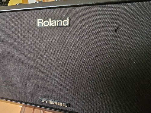 Roland Guitar Amplifiers Mobile Ac