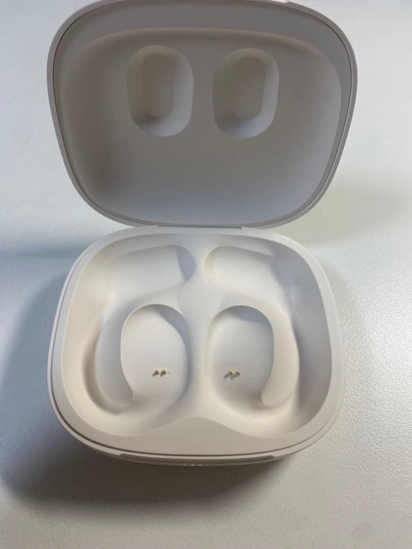 Wireless Earphones Oladance Charging Case