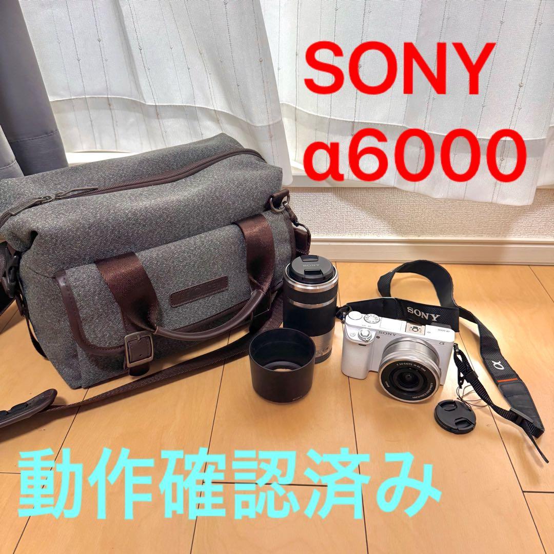 Sony Mirrorless Interchangeable Lens Cameras 6000 Sd 64Gb