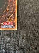Yu-Gi-Oh! Ocg Duel Monsters (Japanese)