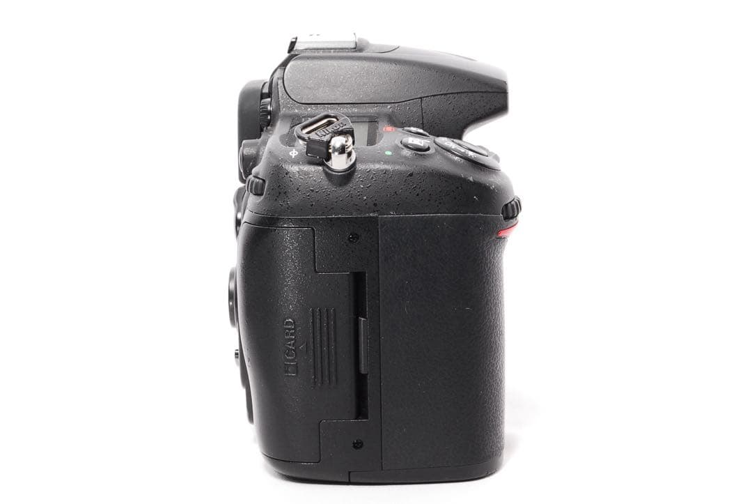 Nikon Digital Slr D7000