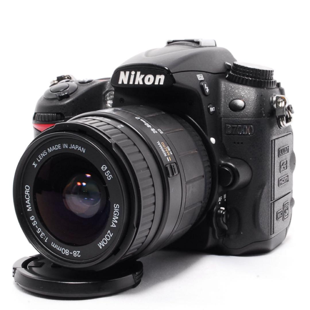 Nikon Digital Slr D7000