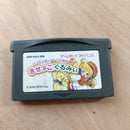 Soft Gba