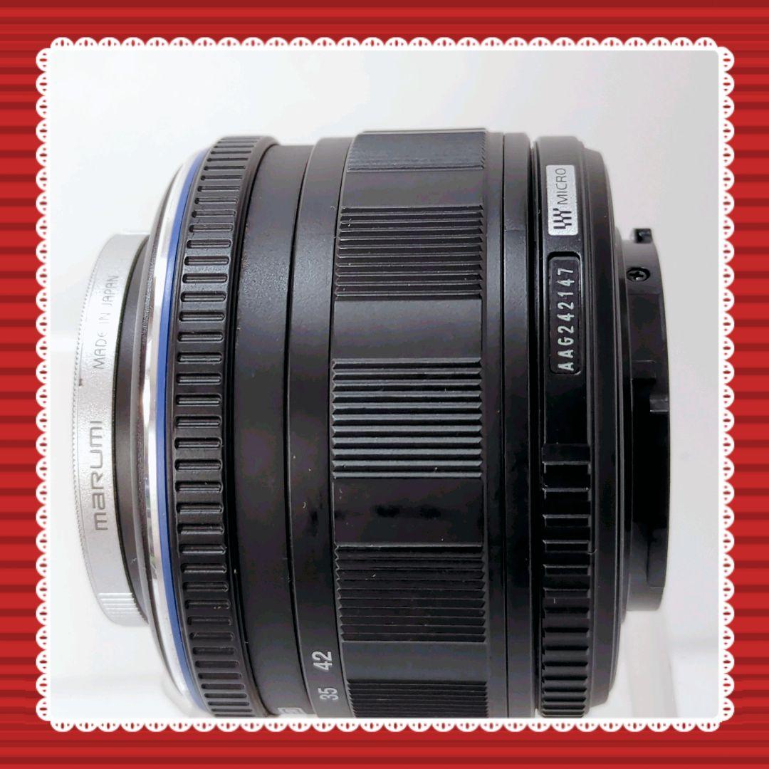 Olympus Mirrorless Interchangeable Lips E-Pl1 #0303
