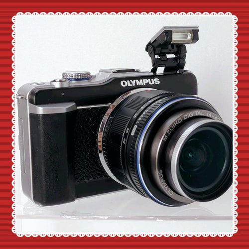 Olympus Mirrorless Interchangeable Lips E-Pl1 #0303