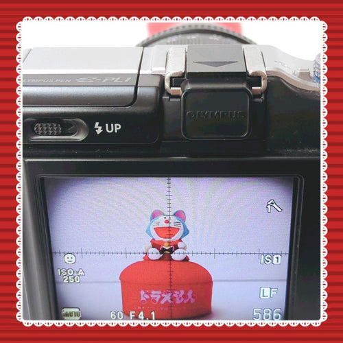 Olympus Mirrorless Interchangeable Lips E-Pl1 #0303