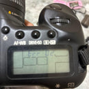 Canon Digital Slr Eos 10D