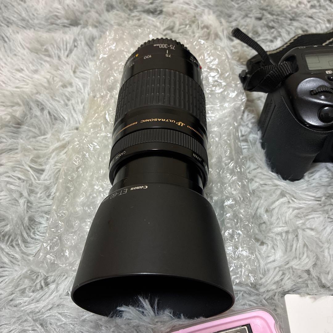 Canon Digital Slr Eos 10D