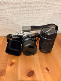 Olympus Mirrorless Interchangeable Lips