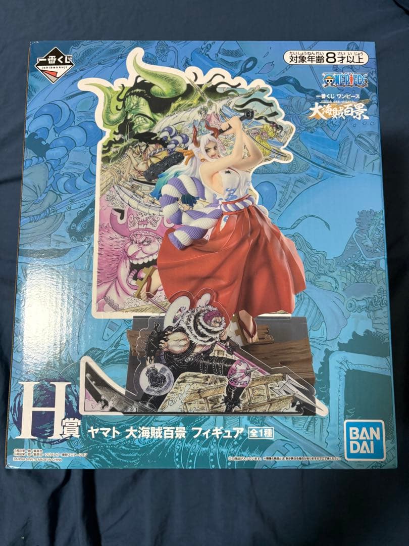 One Piece H