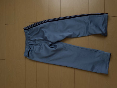 Needles Slacks