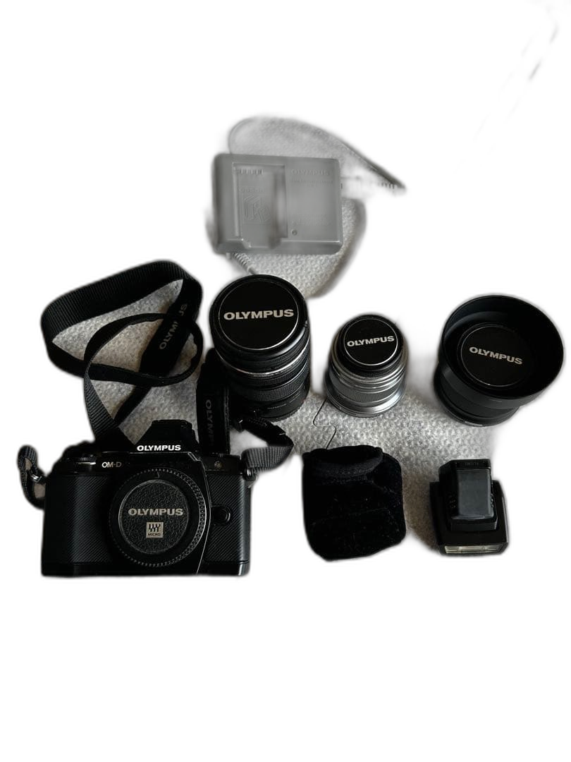 Olympus Mirrorless Interchangeable Lips Om-D 3