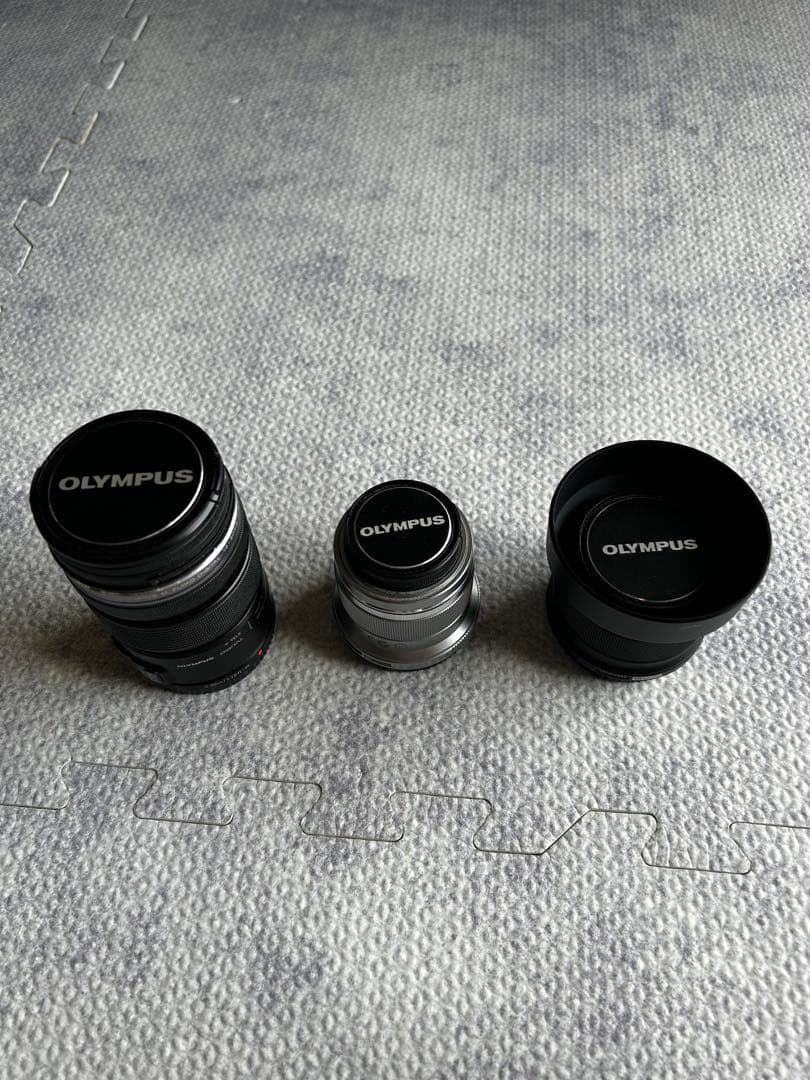 Olympus Mirrorless Interchangeable Lips Om-D 3