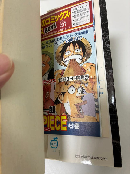 Boy'S Manga One Piece 6
