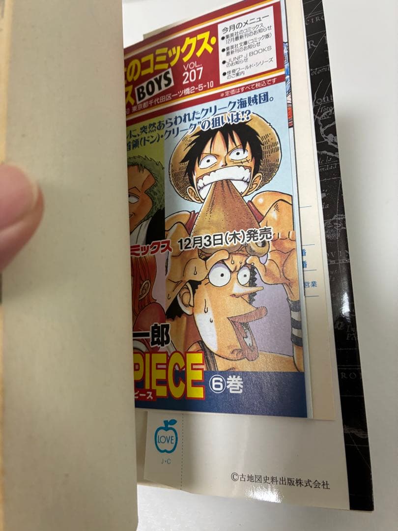 Boy'S Manga One Piece 6