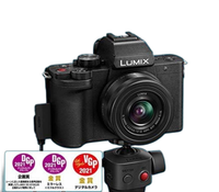 Panasonic Mirrorless Interchangeable Lips Lumix Dc-G100V