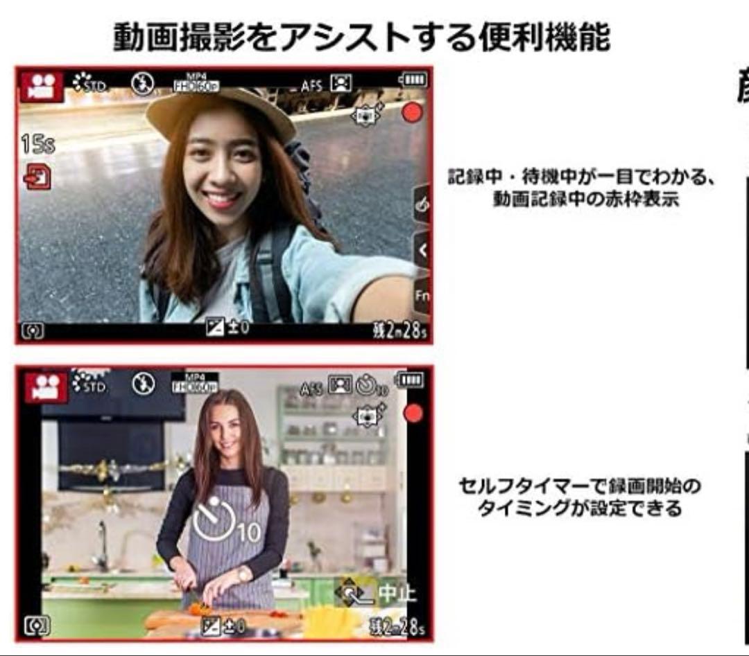 Panasonic Mirrorless Interchangeable Lips Lumix Dc-G100V